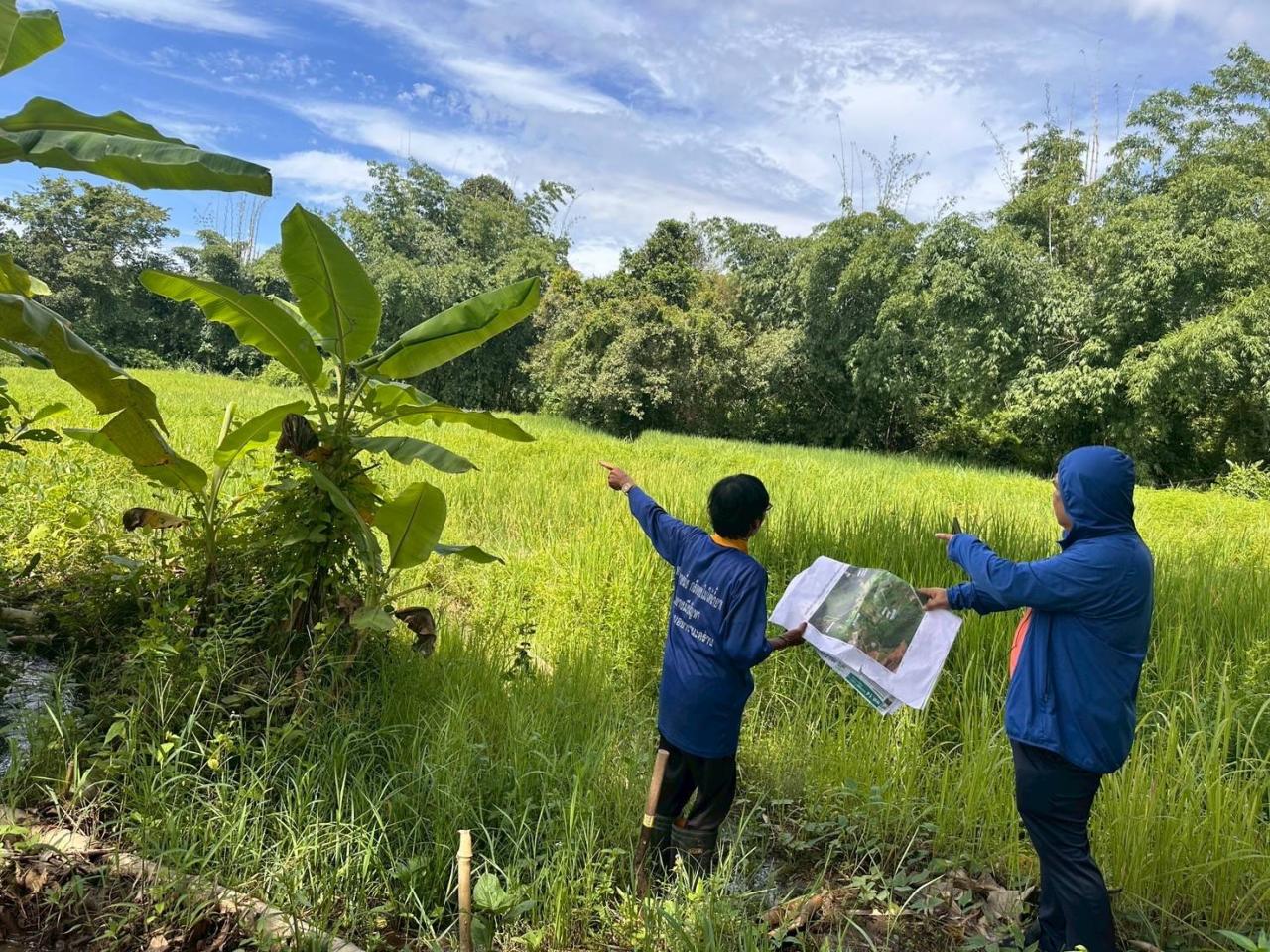 ภาพประกอบที่ 8