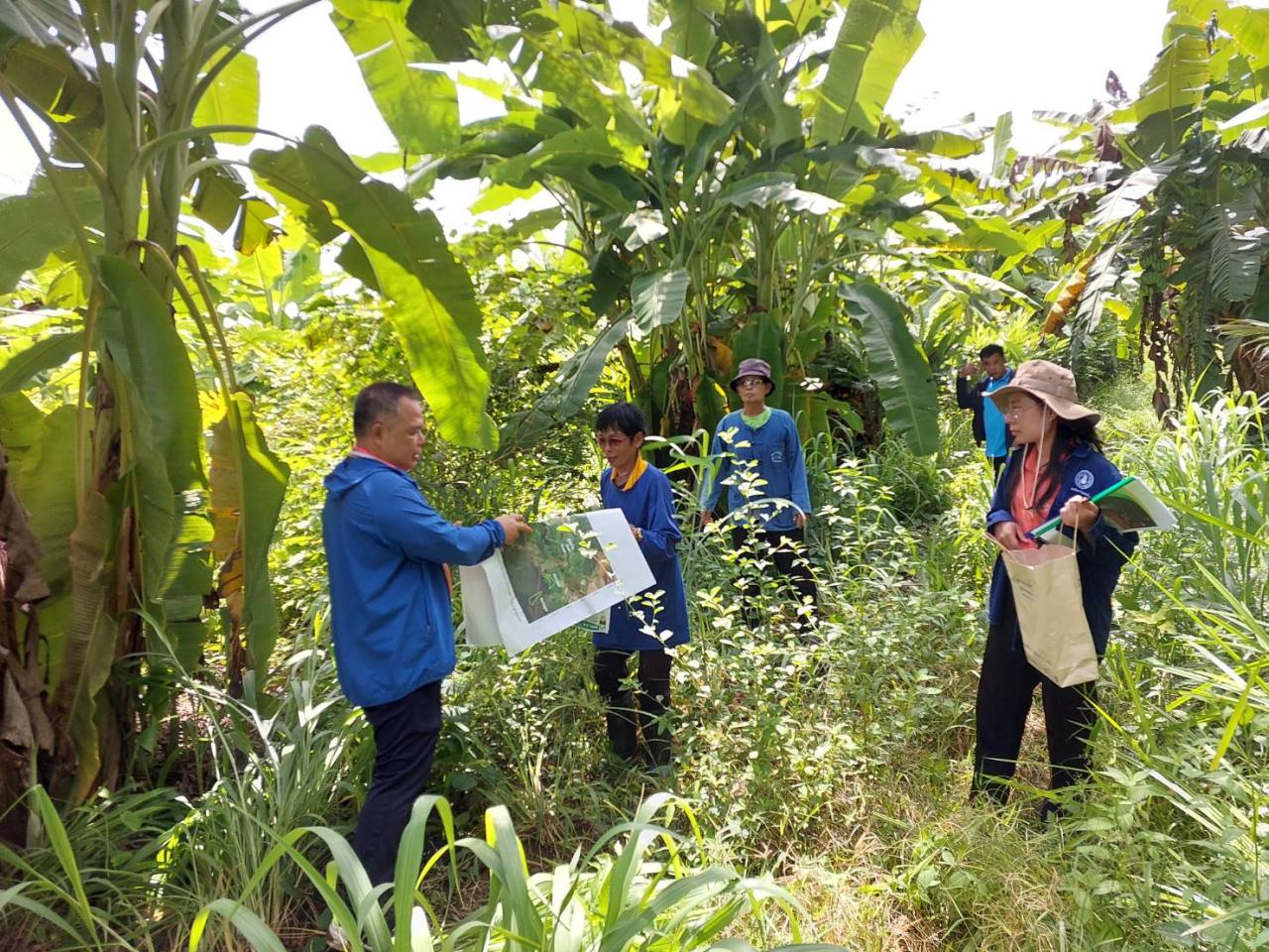 ภาพประกอบที่ 9