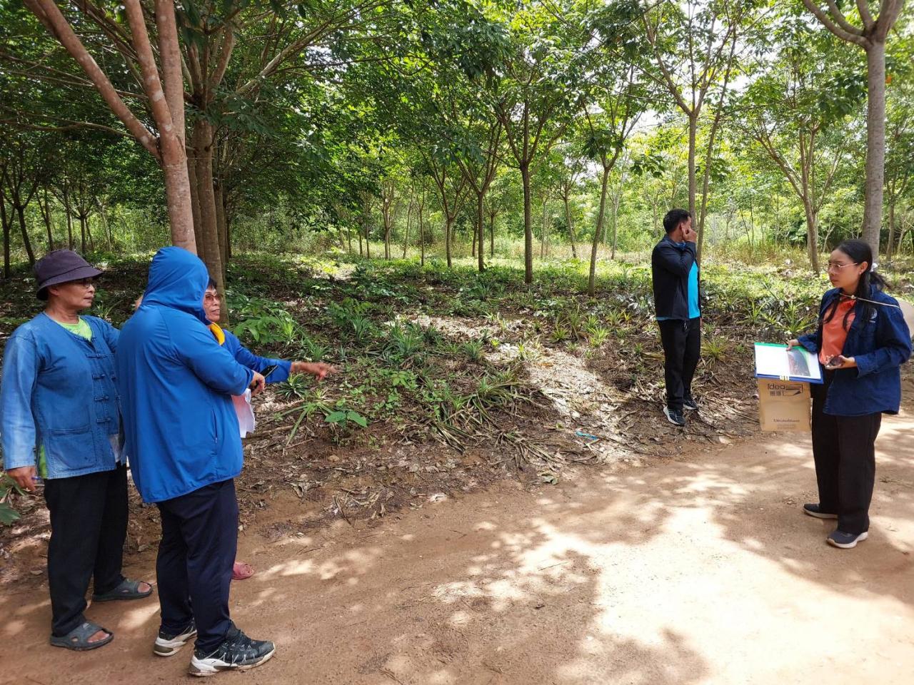 ภาพประกอบที่ 10