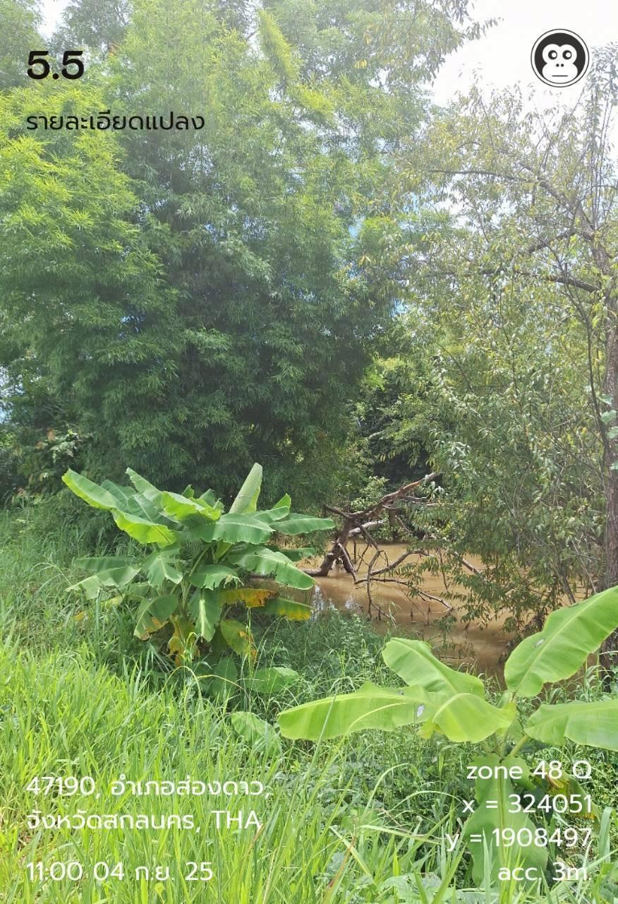 ภาพประกอบที่ 5