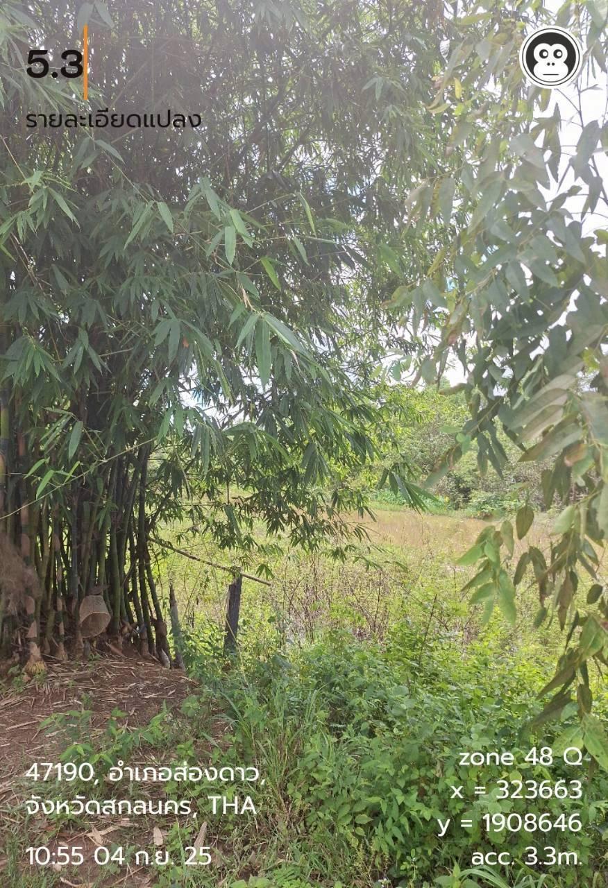 ภาพประกอบที่ 7