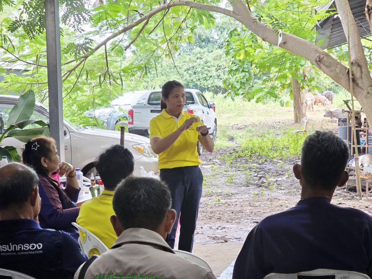 ภาพประกอบที่ 11