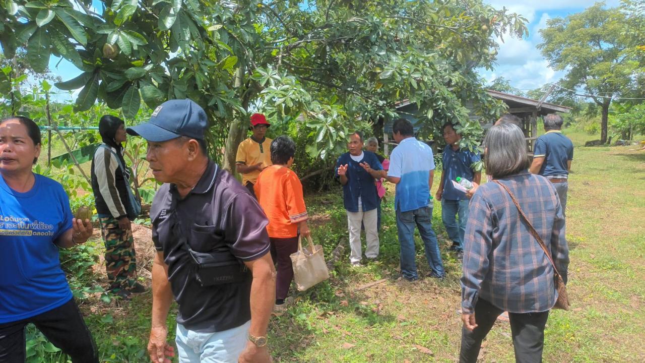 ภาพประกอบที่ 11