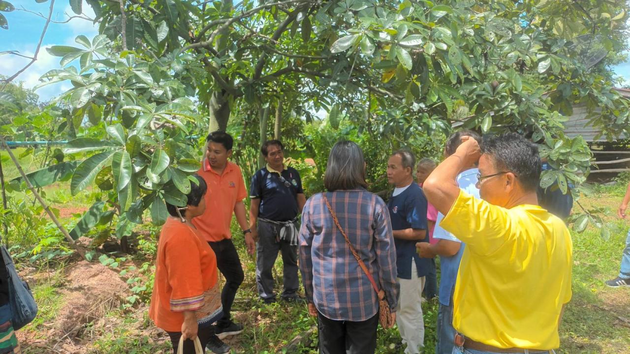 ภาพประกอบที่ 12