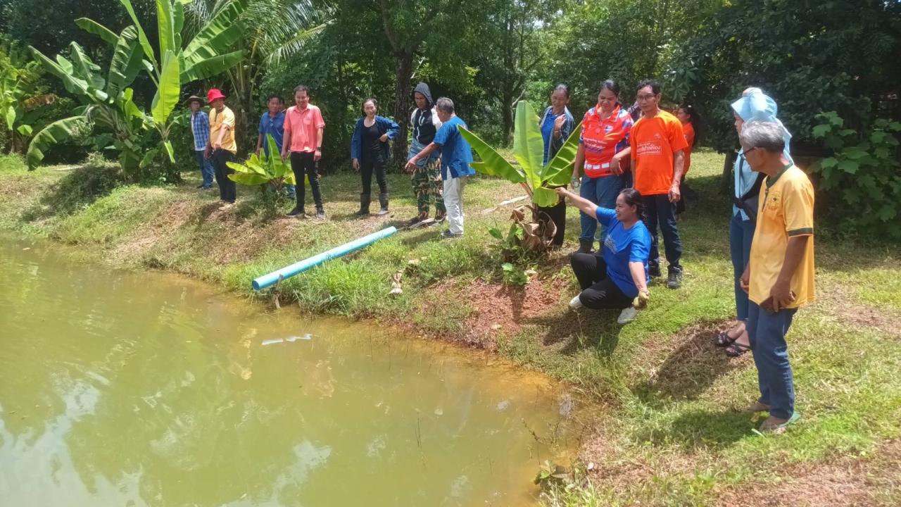 ภาพประกอบที่ 13