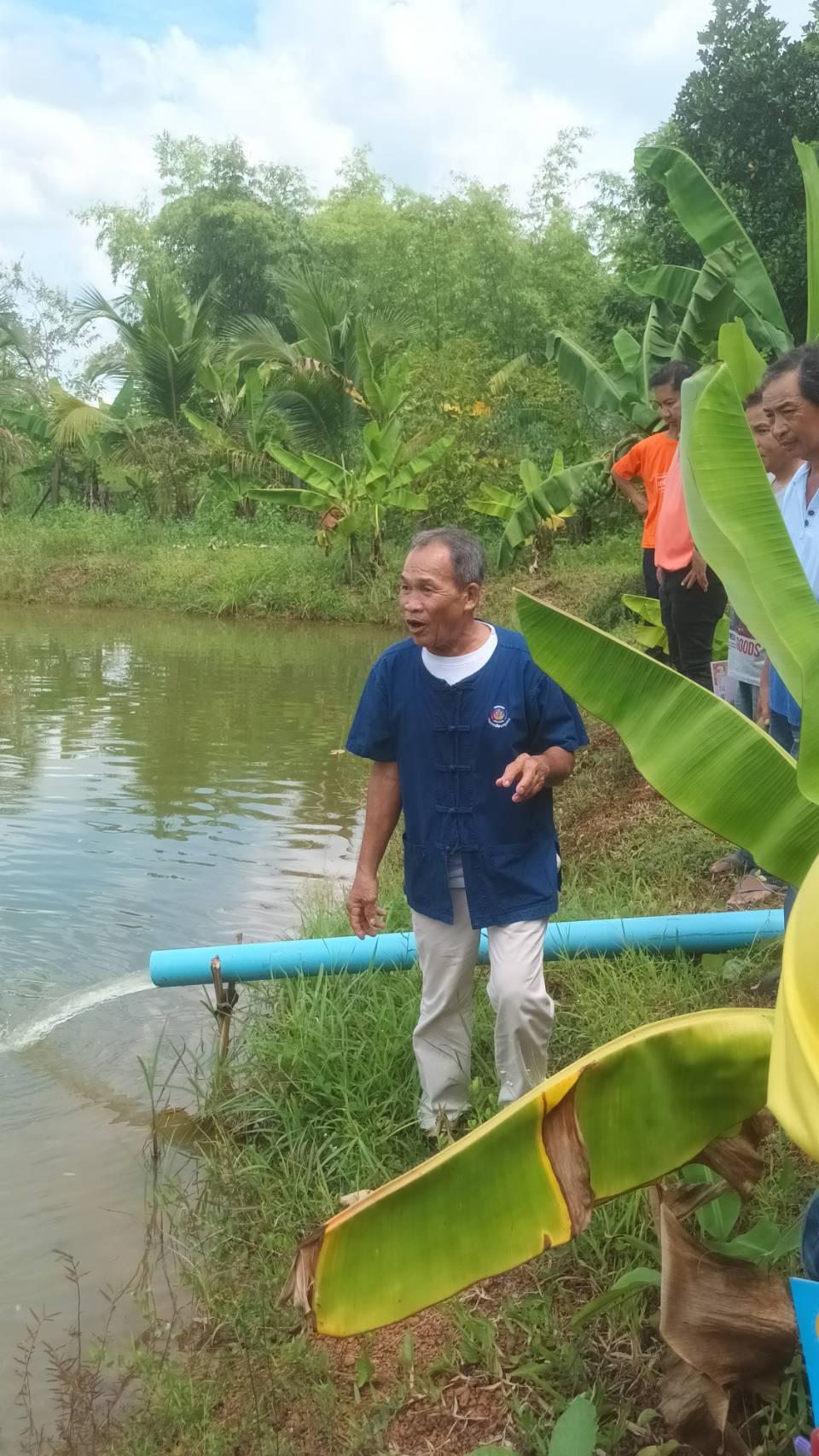 ภาพประกอบที่ 15