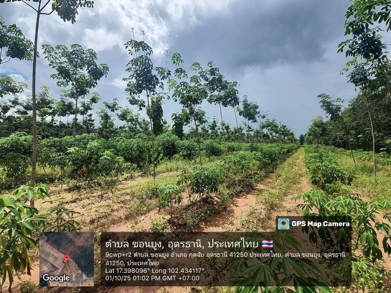 ภาพประกอบที่ 2