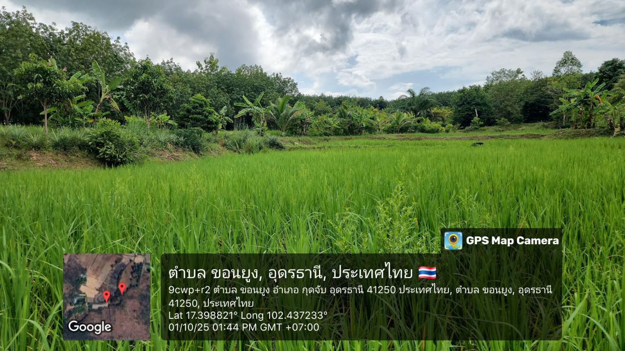 ภาพประกอบที่ 6