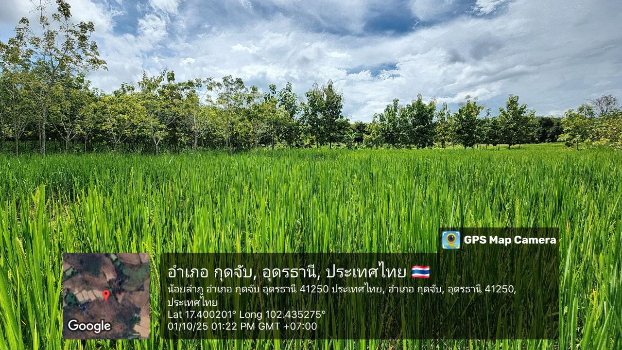 ภาพประกอบที่ 7