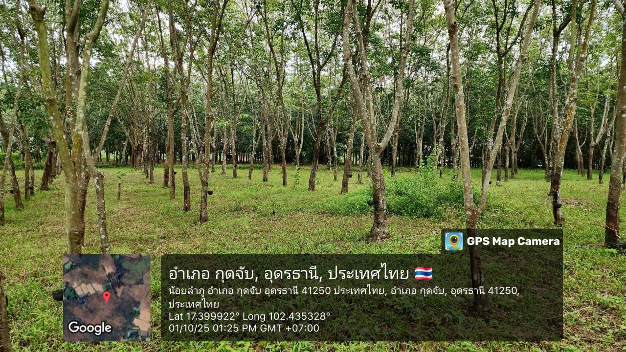 ภาพประกอบที่ 8