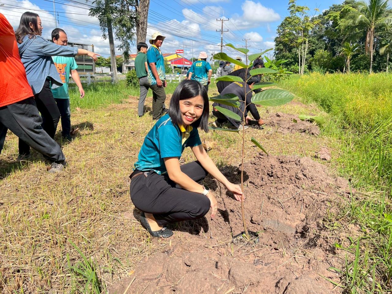 ภาพประกอบที่ 6