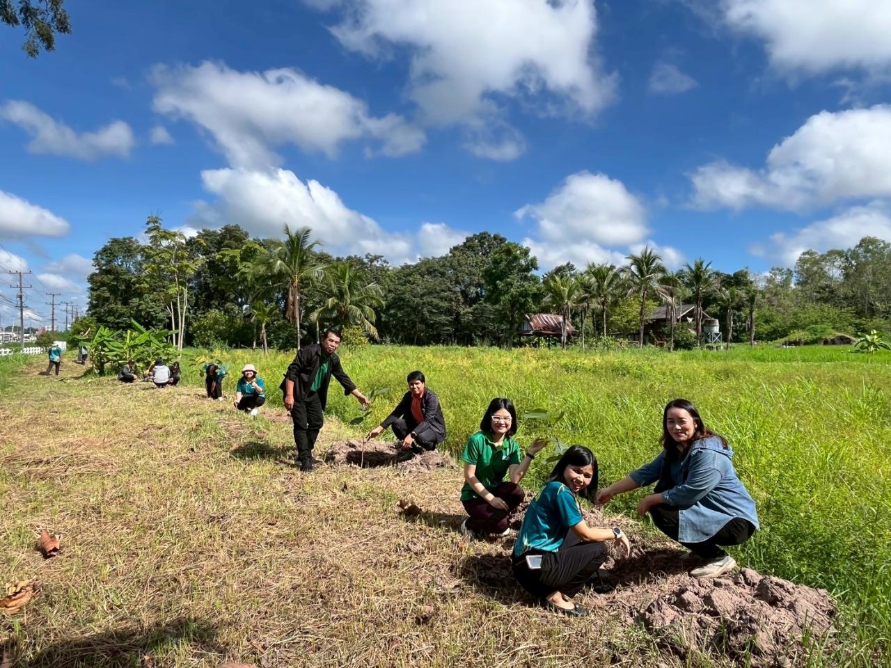 ภาพประกอบที่ 11