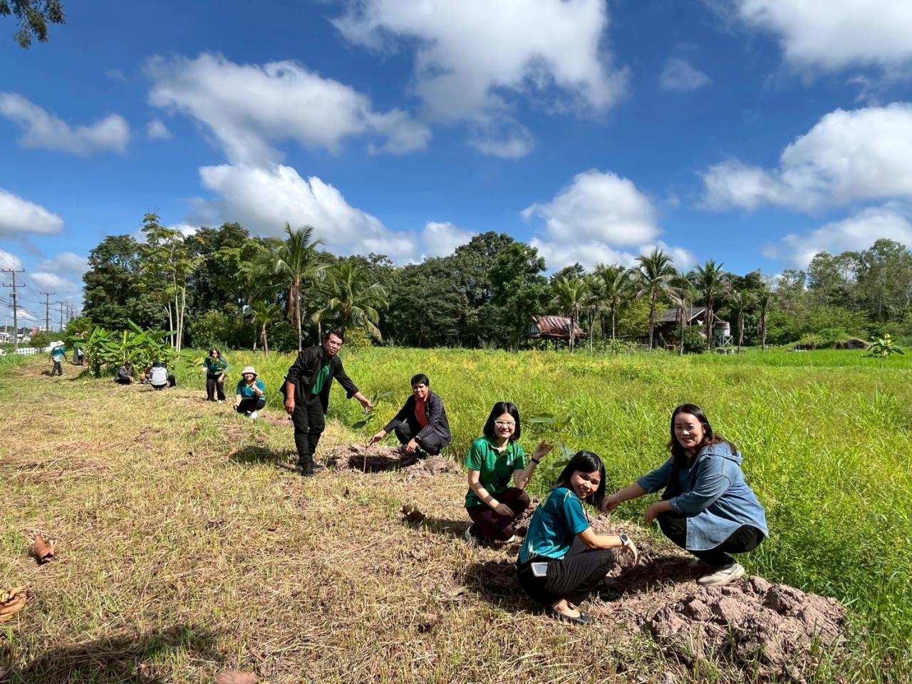 ภาพประกอบที่ 12