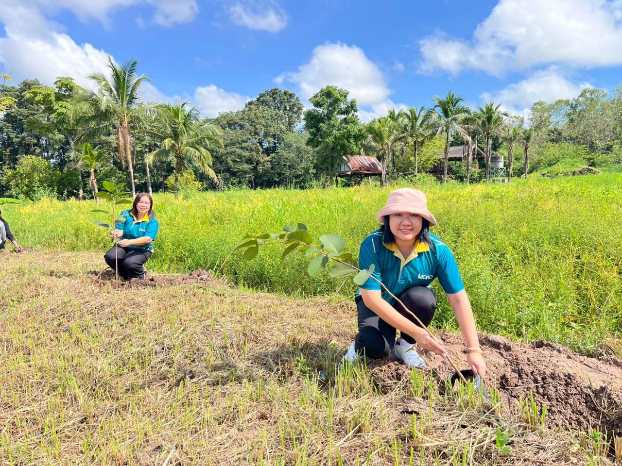 ภาพประกอบที่ 13