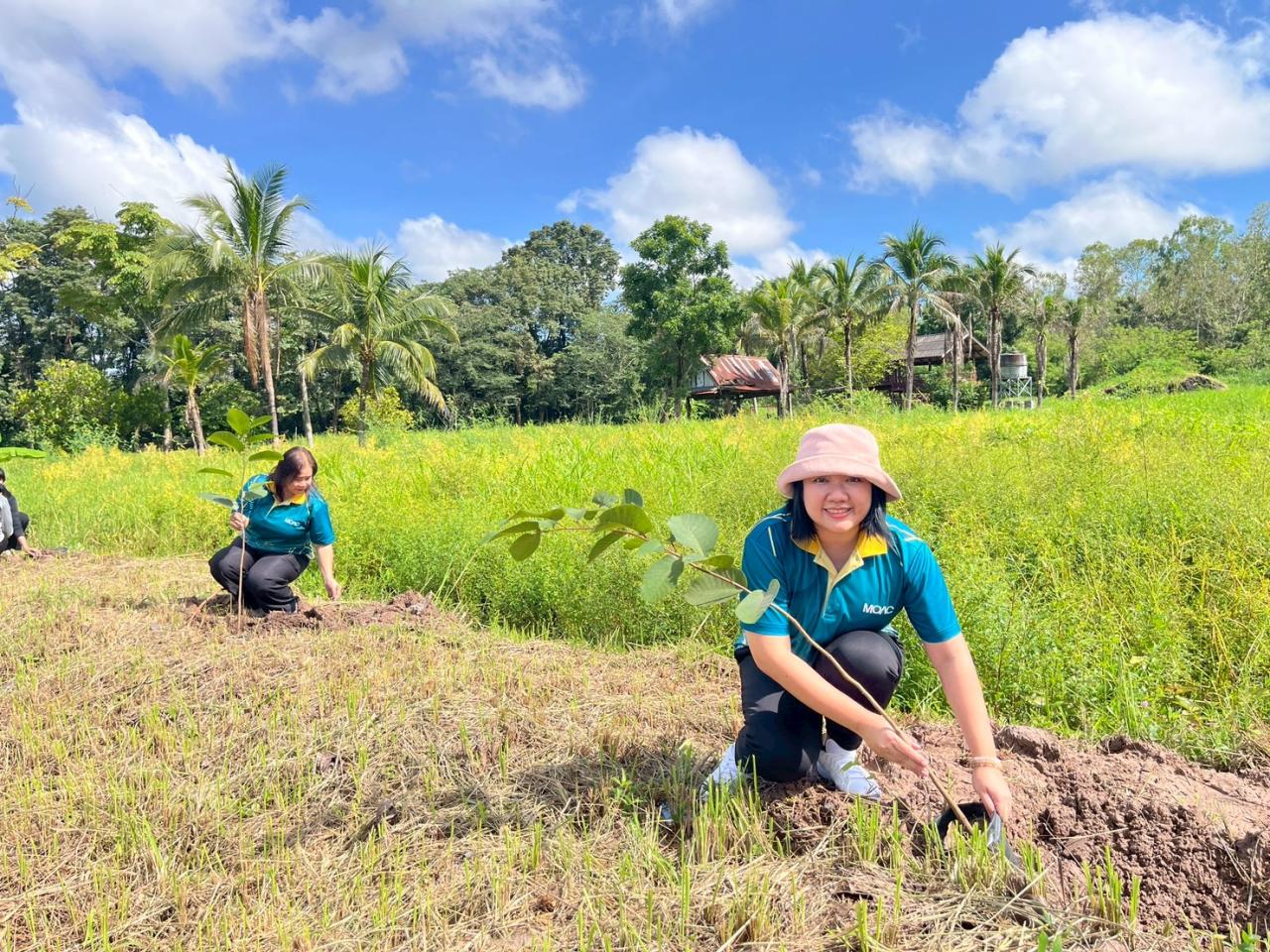 ภาพประกอบที่ 14