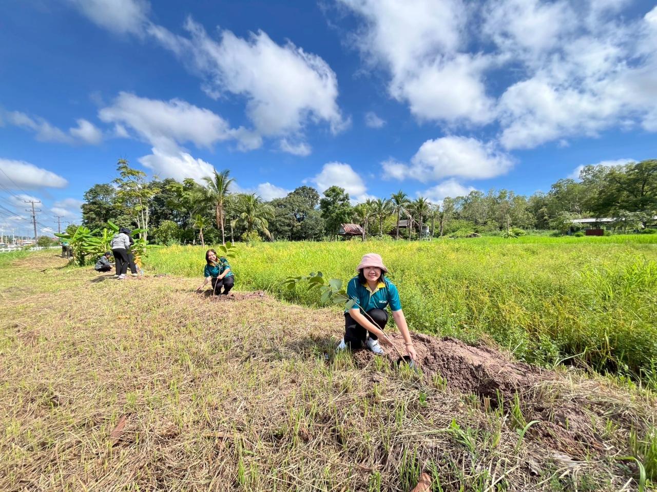 ภาพประกอบที่ 15
