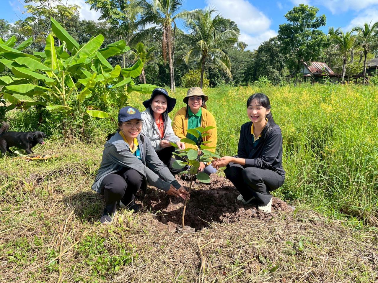ภาพประกอบที่ 17