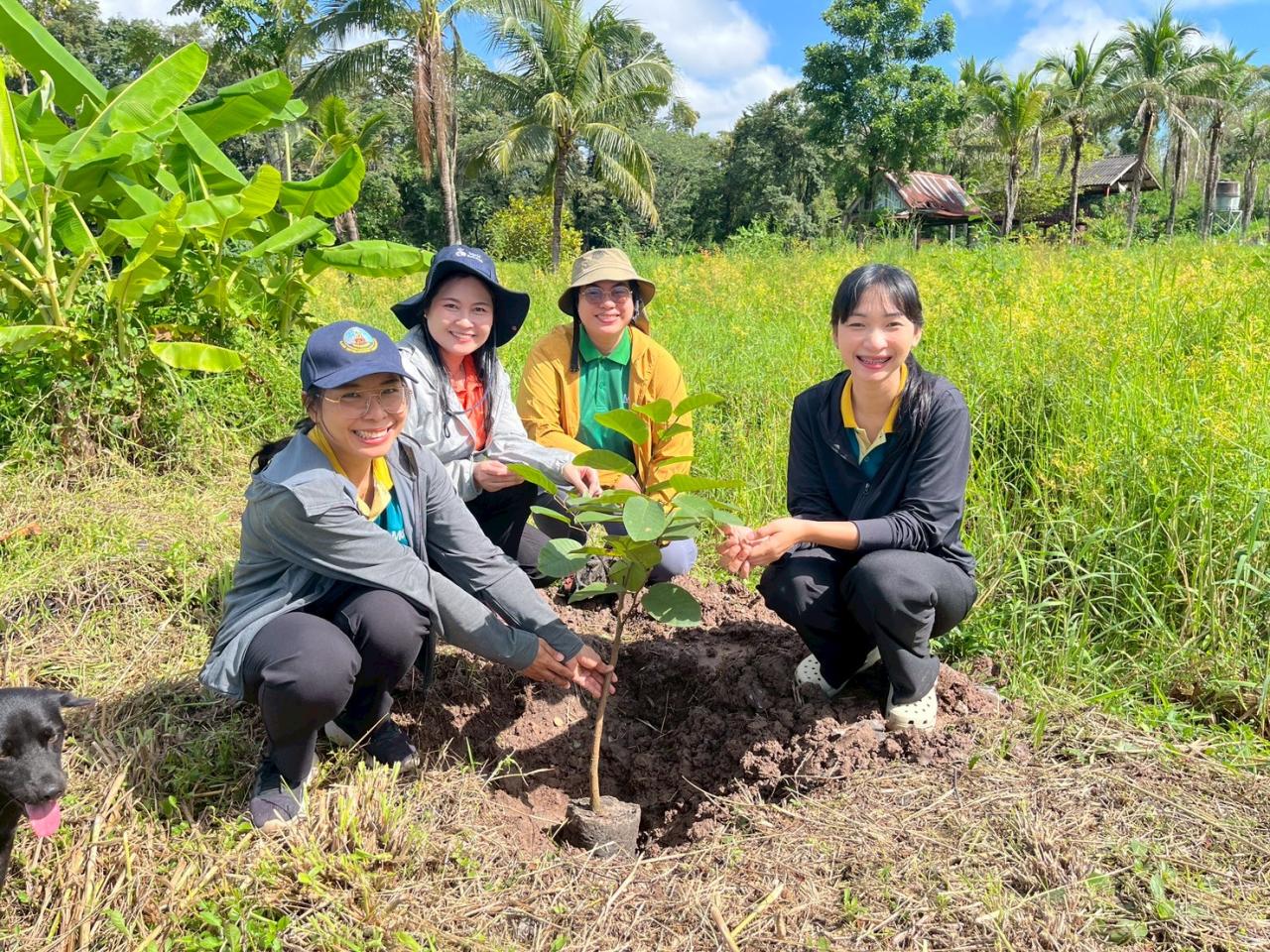 ภาพประกอบที่ 18