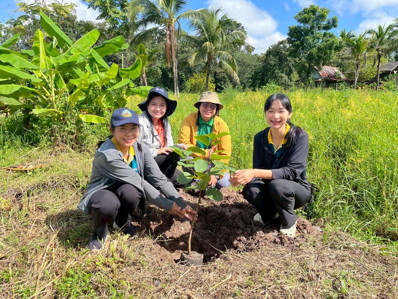 ภาพประกอบที่ 19