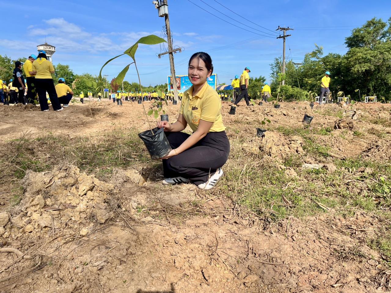 ภาพประกอบที่ 33