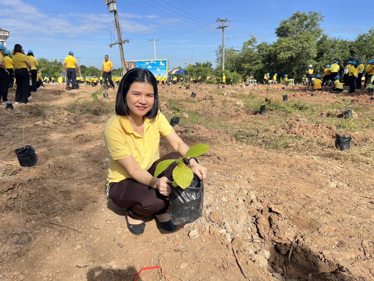 ภาพประกอบที่ 34