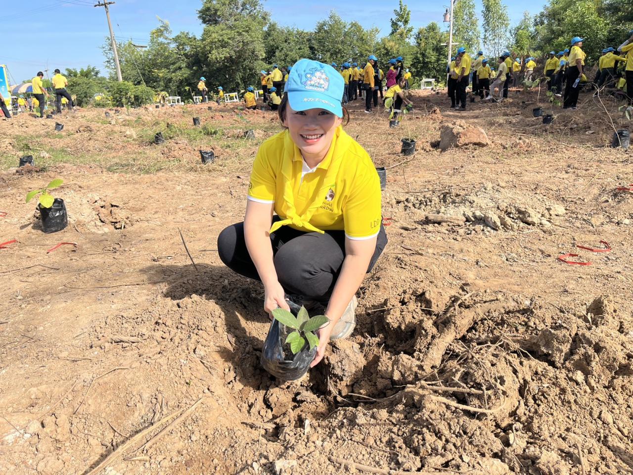 ภาพประกอบที่ 35