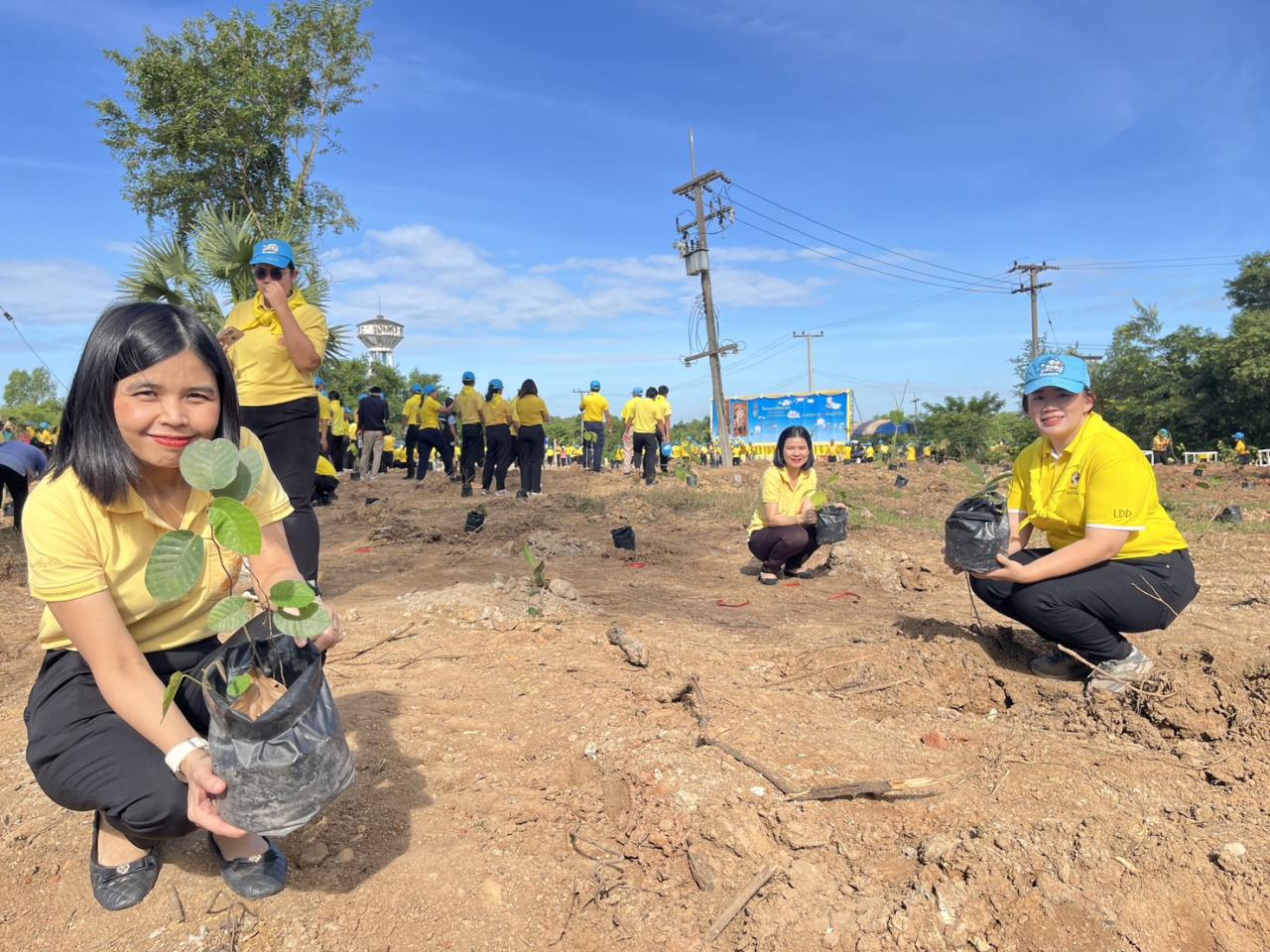 ภาพประกอบที่ 36