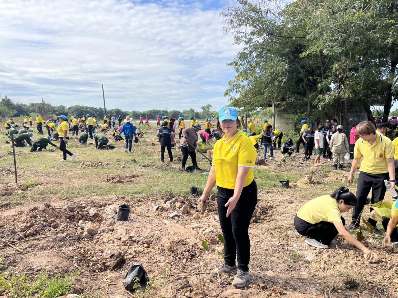 ภาพประกอบที่ 24