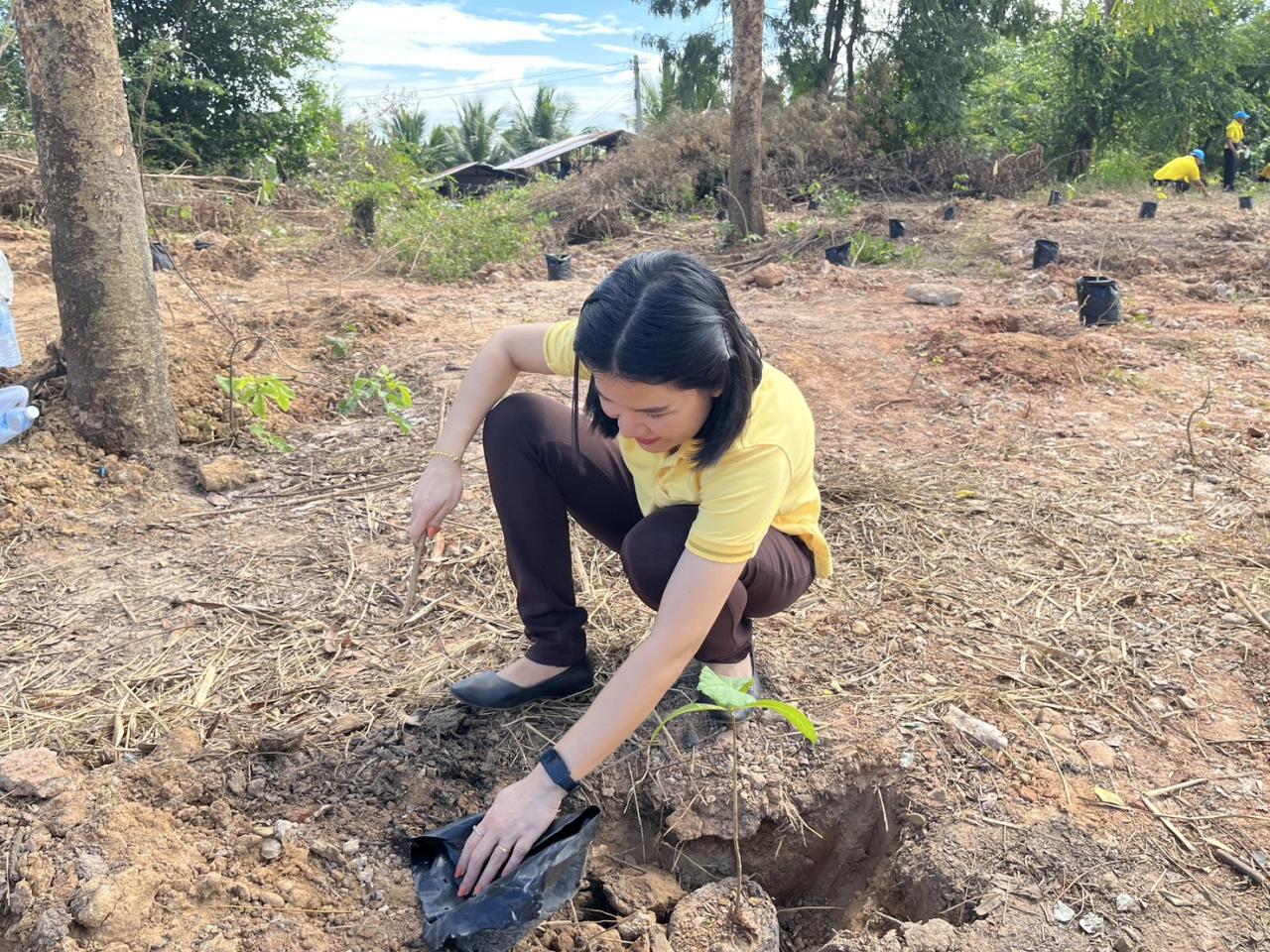 ภาพประกอบที่ 25