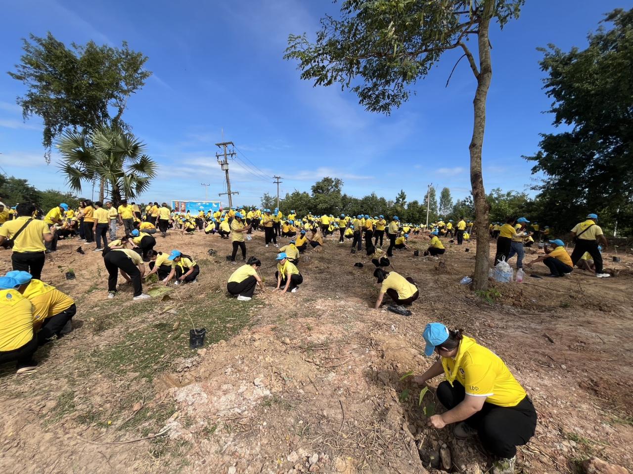 ภาพประกอบที่ 27