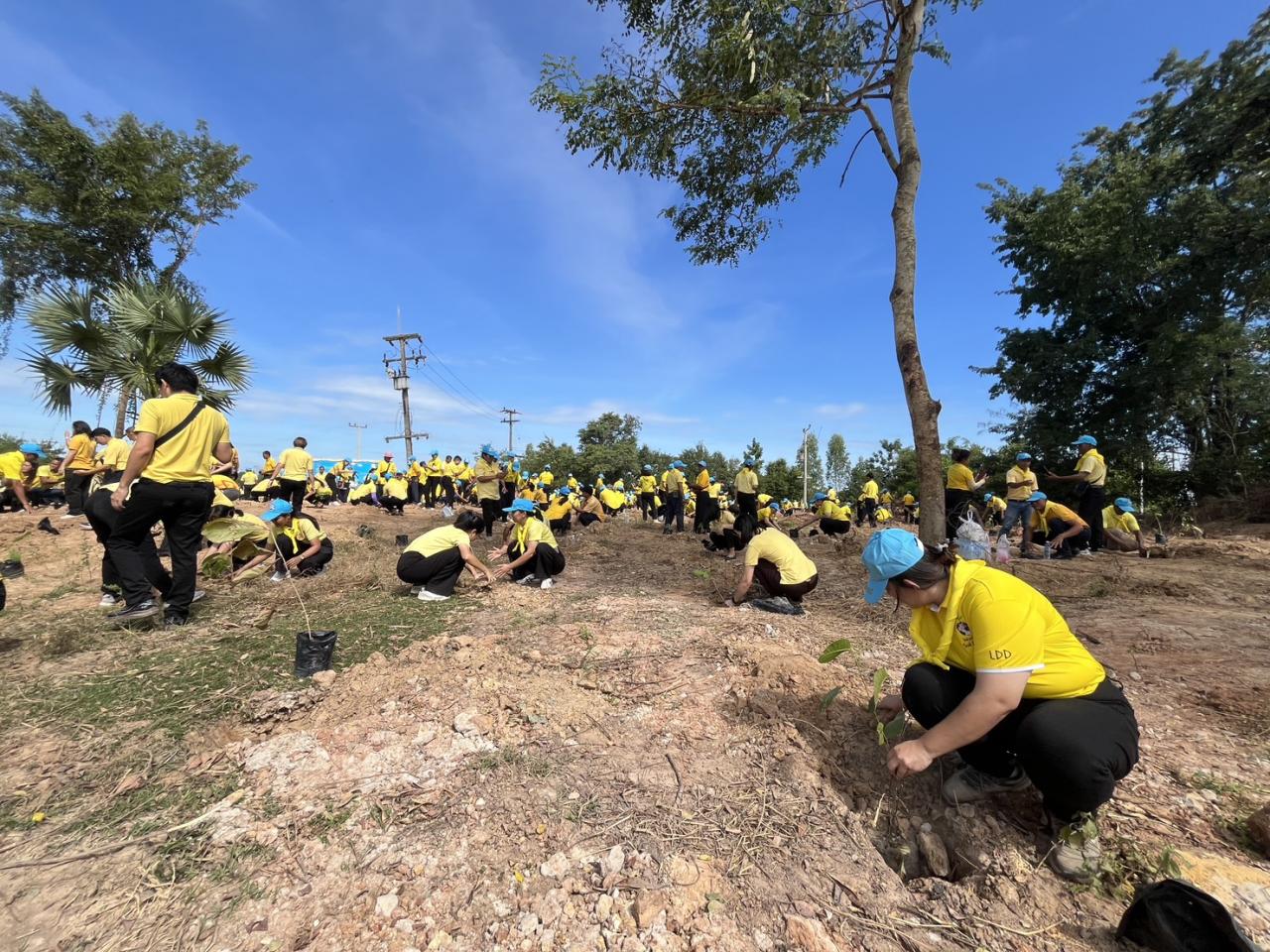 ภาพประกอบที่ 28