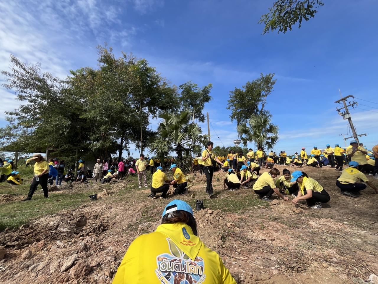 ภาพประกอบที่ 29