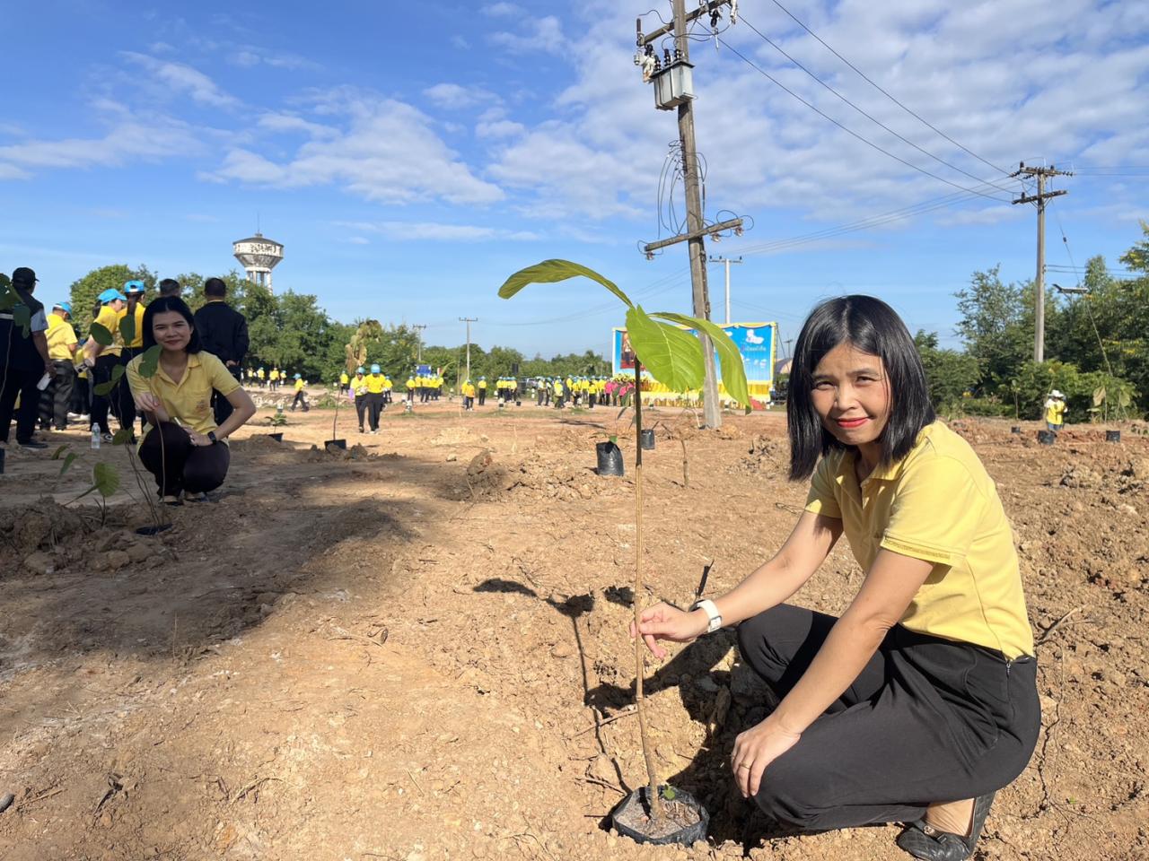 ภาพประกอบที่ 31