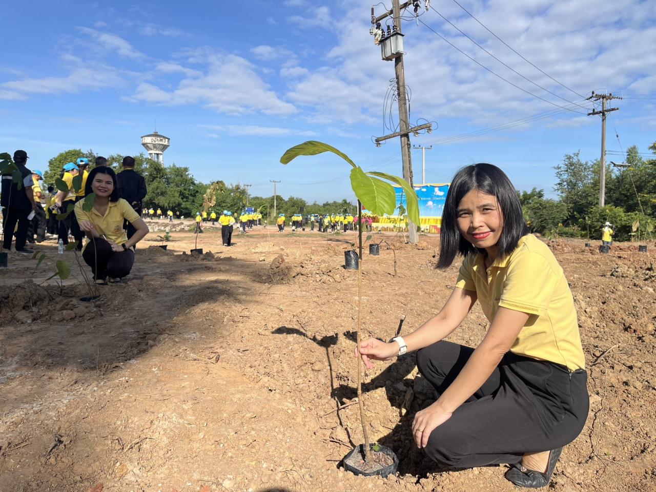 ภาพประกอบที่ 32