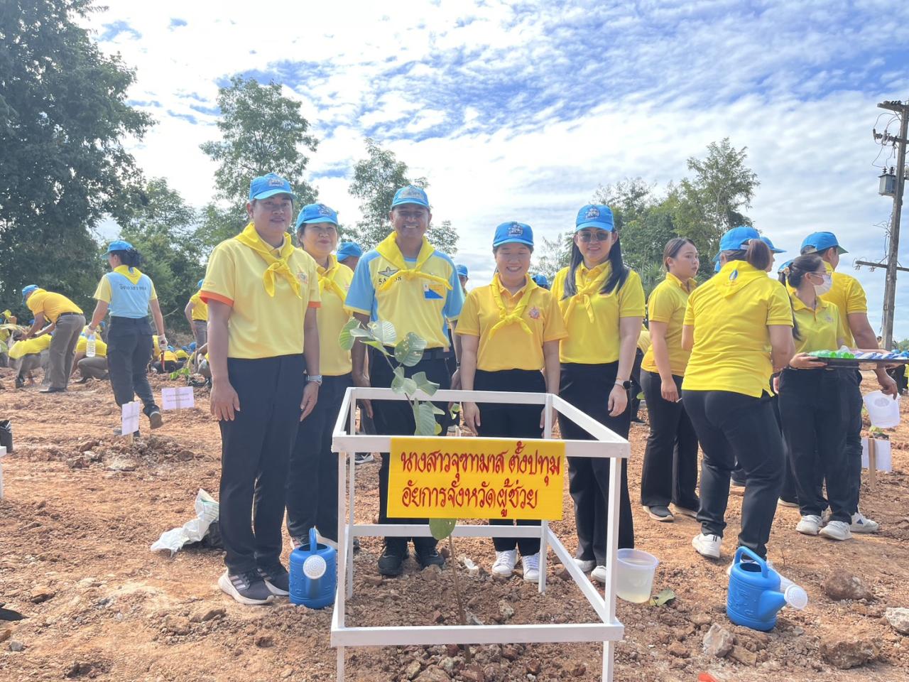 ภาพประกอบที่ 19