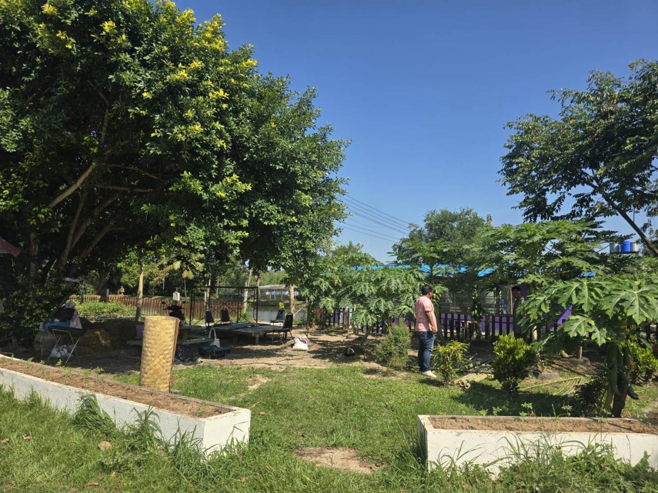 ภาพประกอบที่ 11