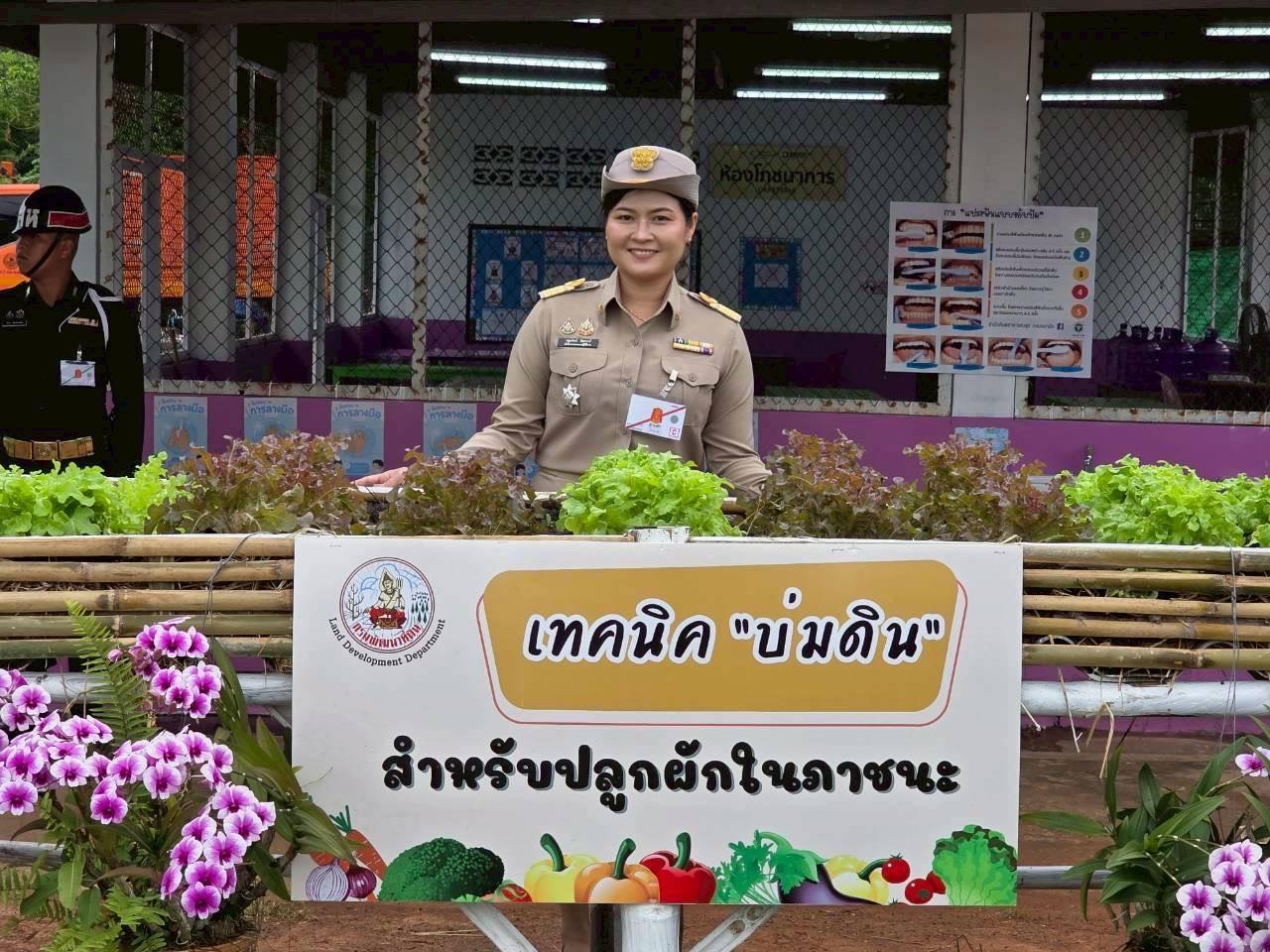 ภาพประกอบที่ 12