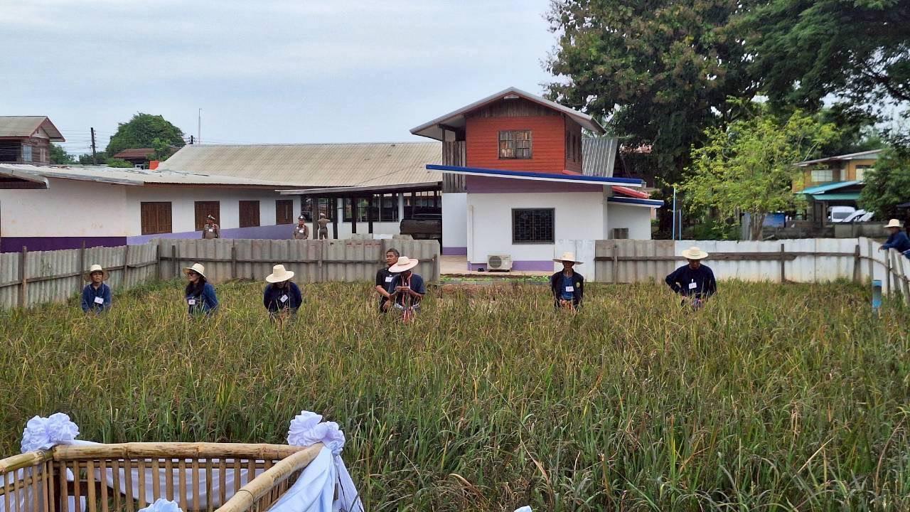 ภาพประกอบที่ 13