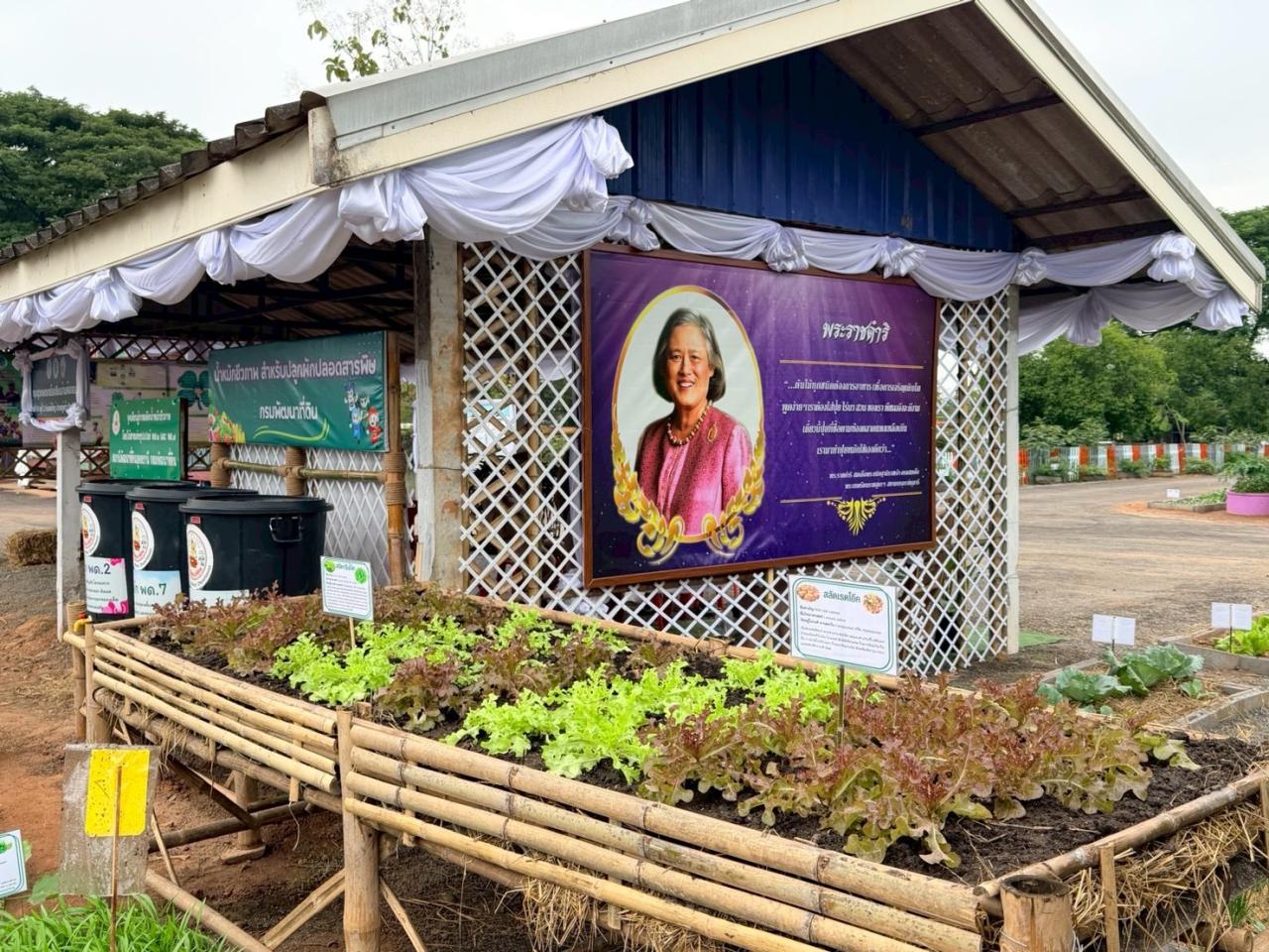 ภาพประกอบที่ 2