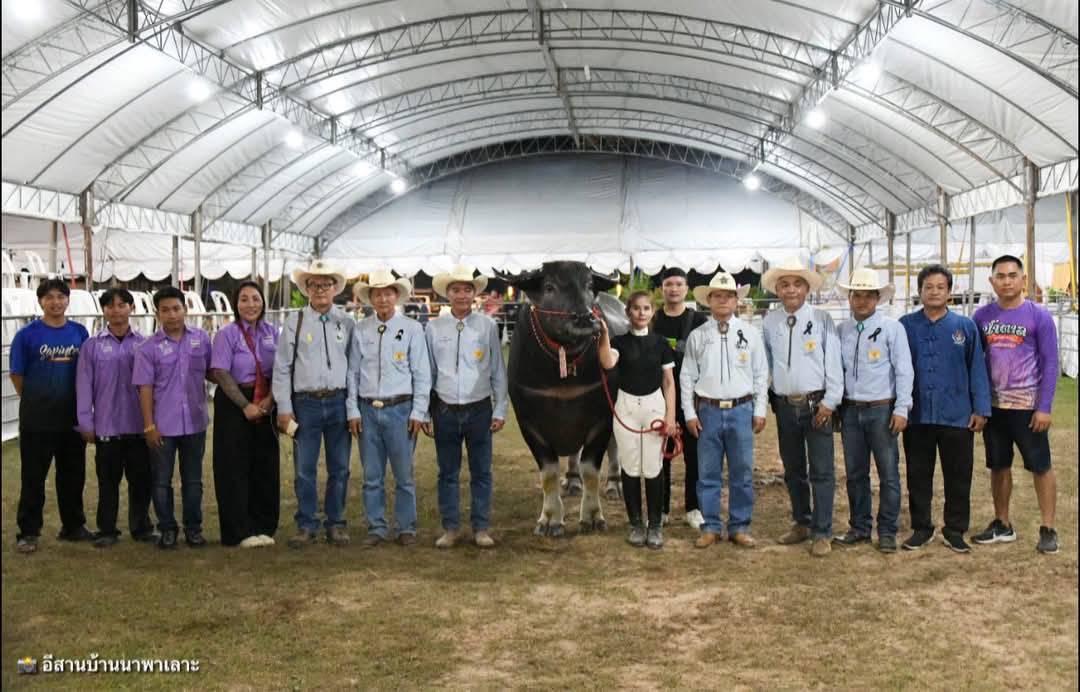 ภาพประกอบที่ 10