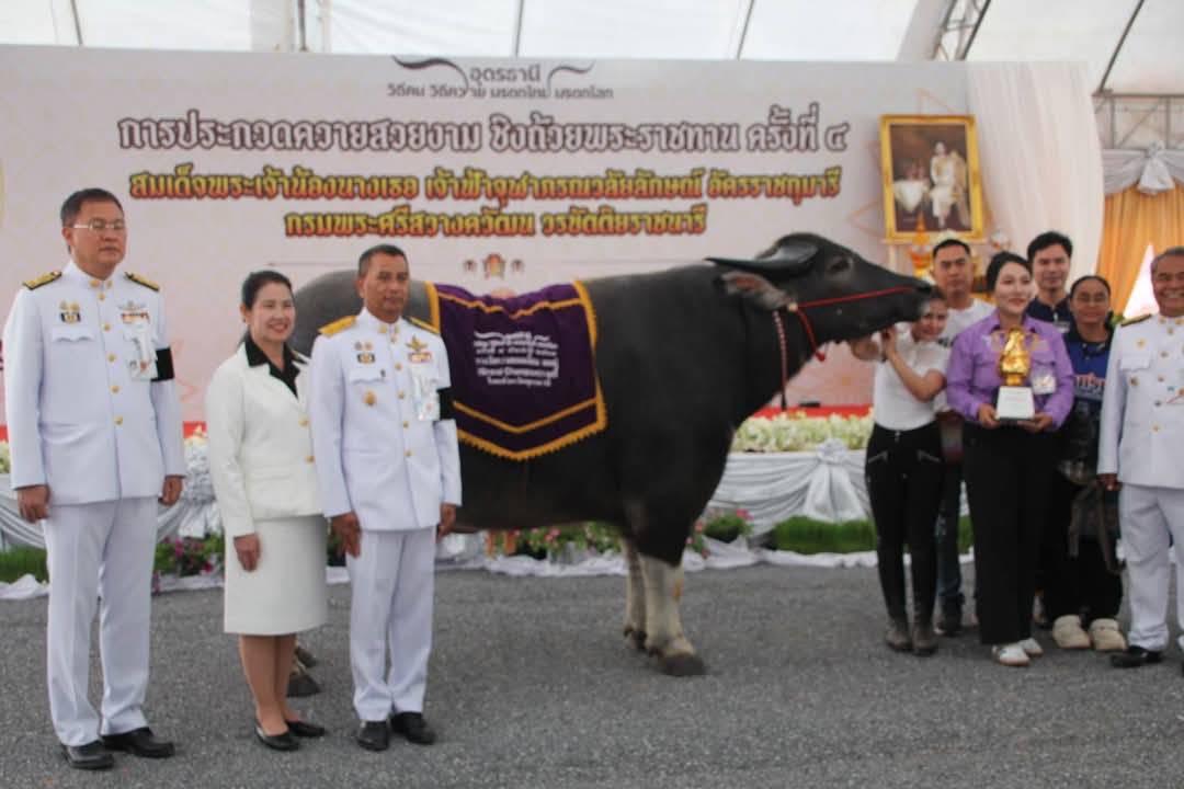 ภาพประกอบที่ 11