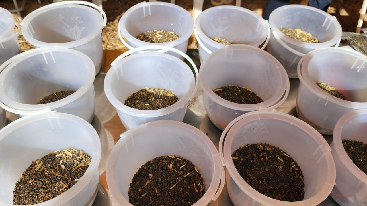 ภาพประกอบที่ 8