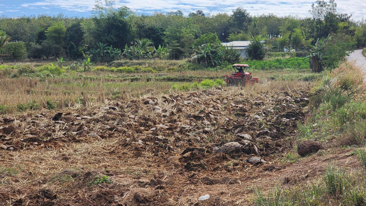 ภาพประกอบที่ 19