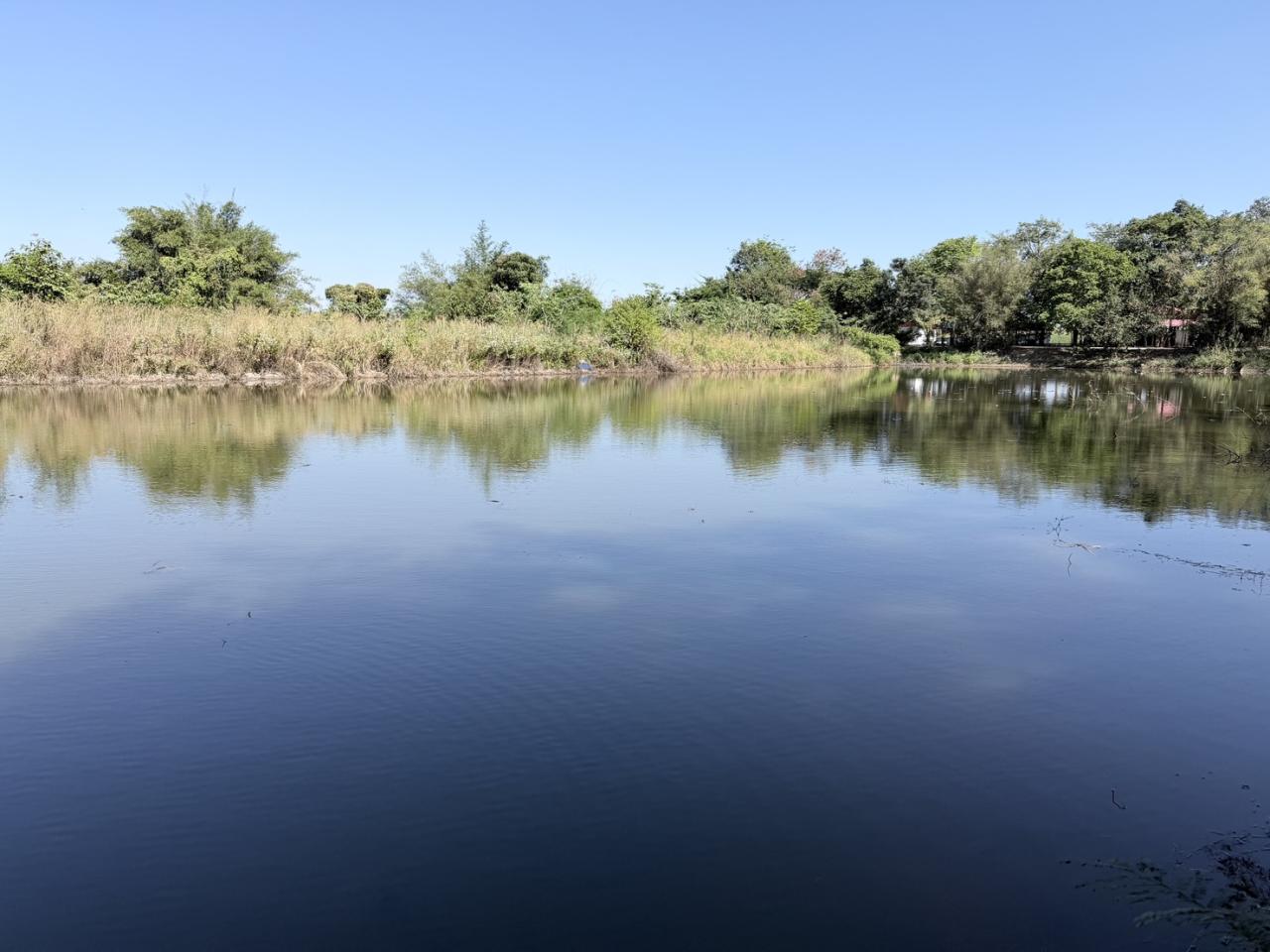 ภาพประกอบที่ 12