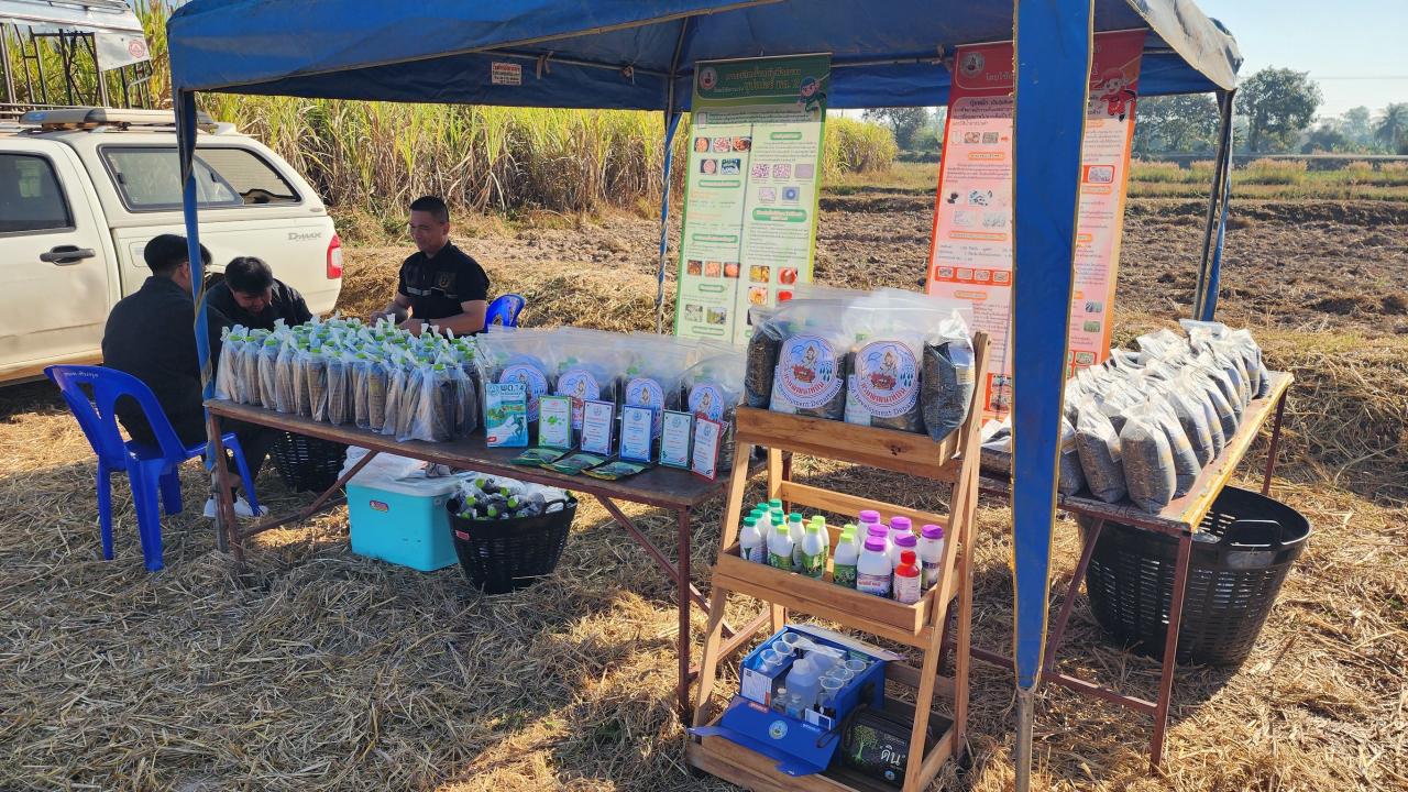 ภาพประกอบที่ 11