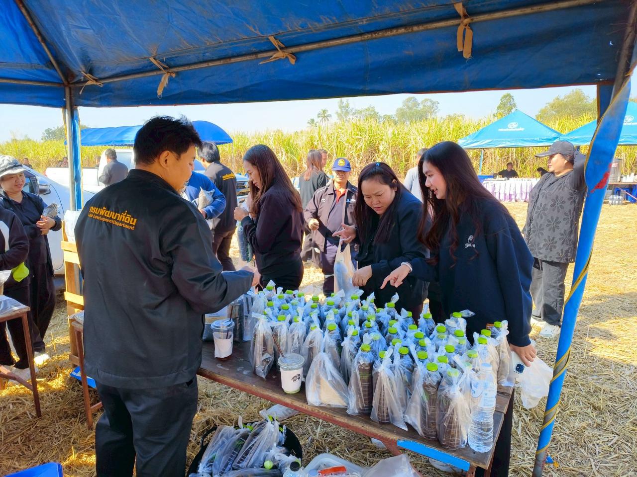 ภาพประกอบที่ 14