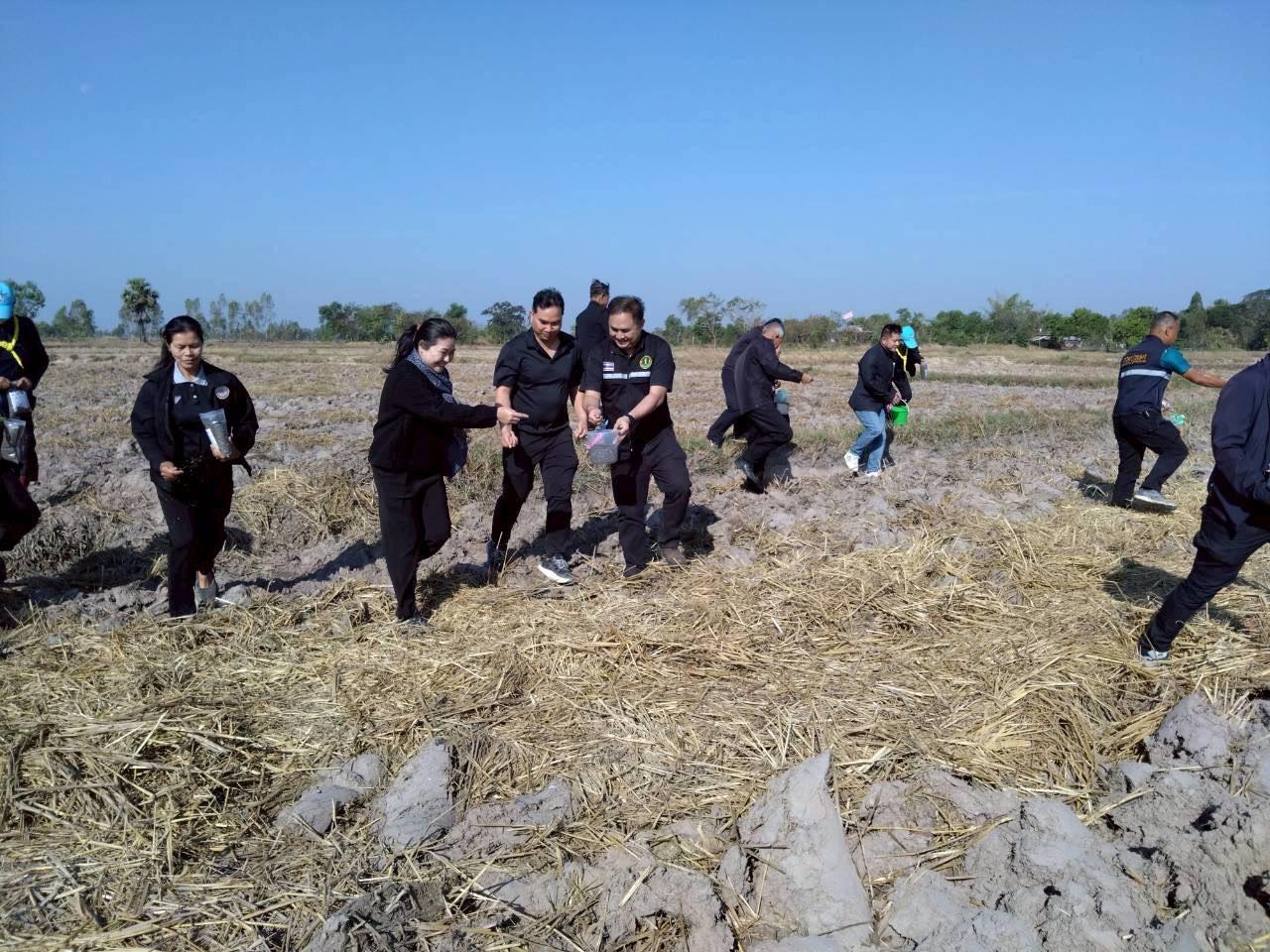 ภาพประกอบที่ 0