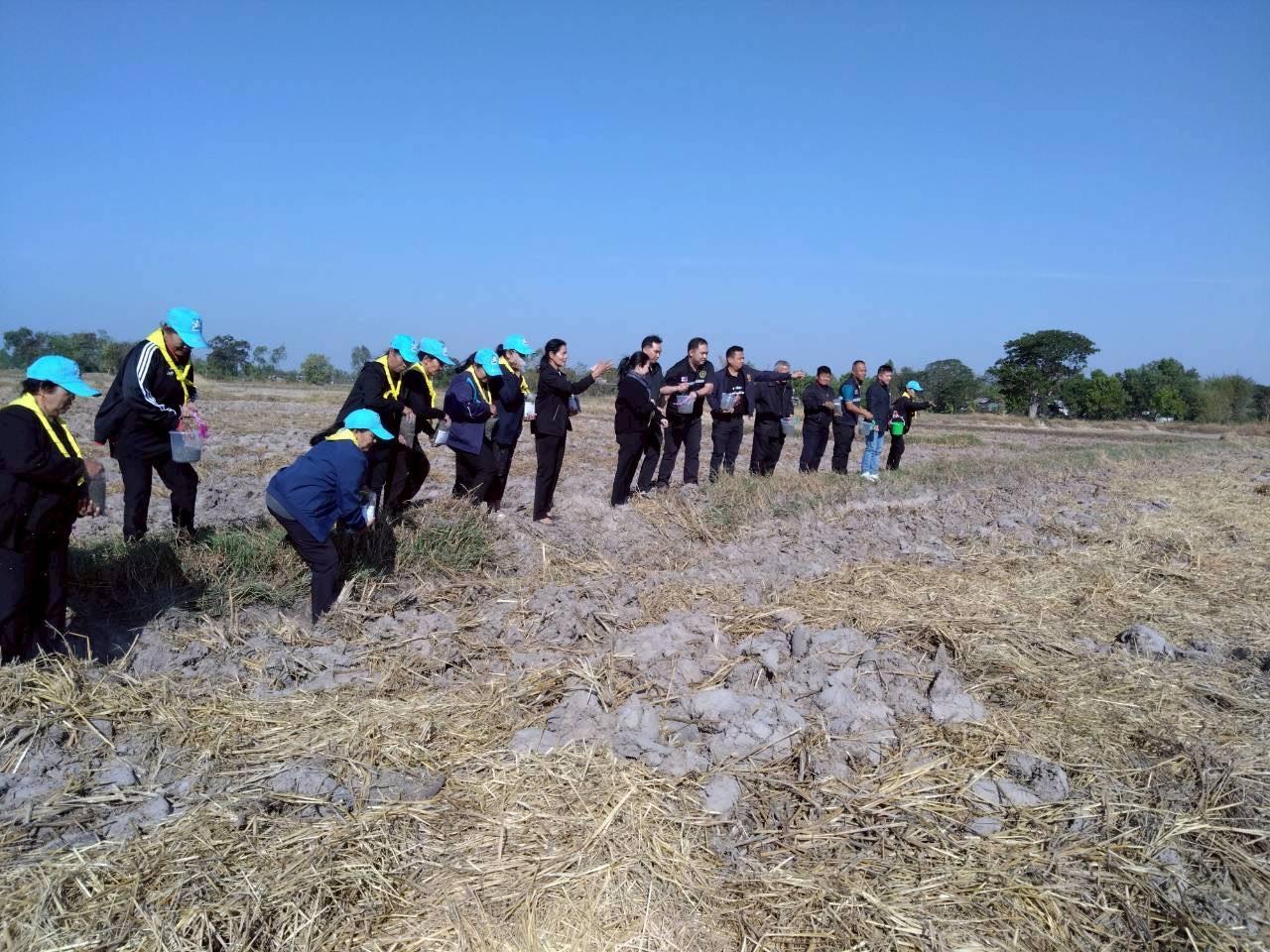 ภาพประกอบที่ 1