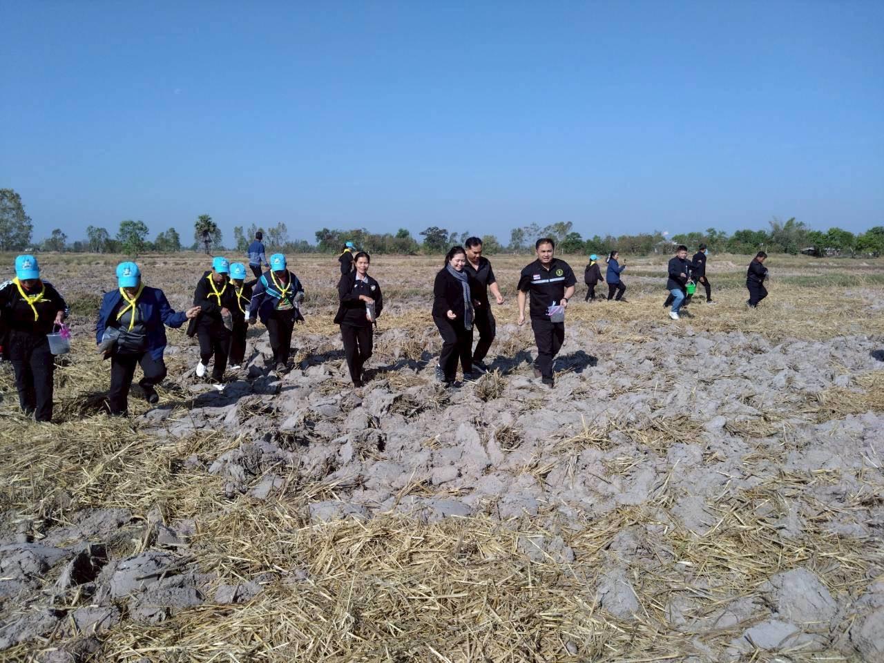 ภาพประกอบที่ 11