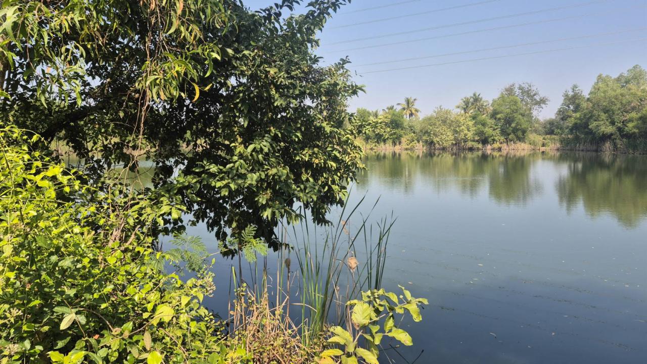 ภาพประกอบที่ 6